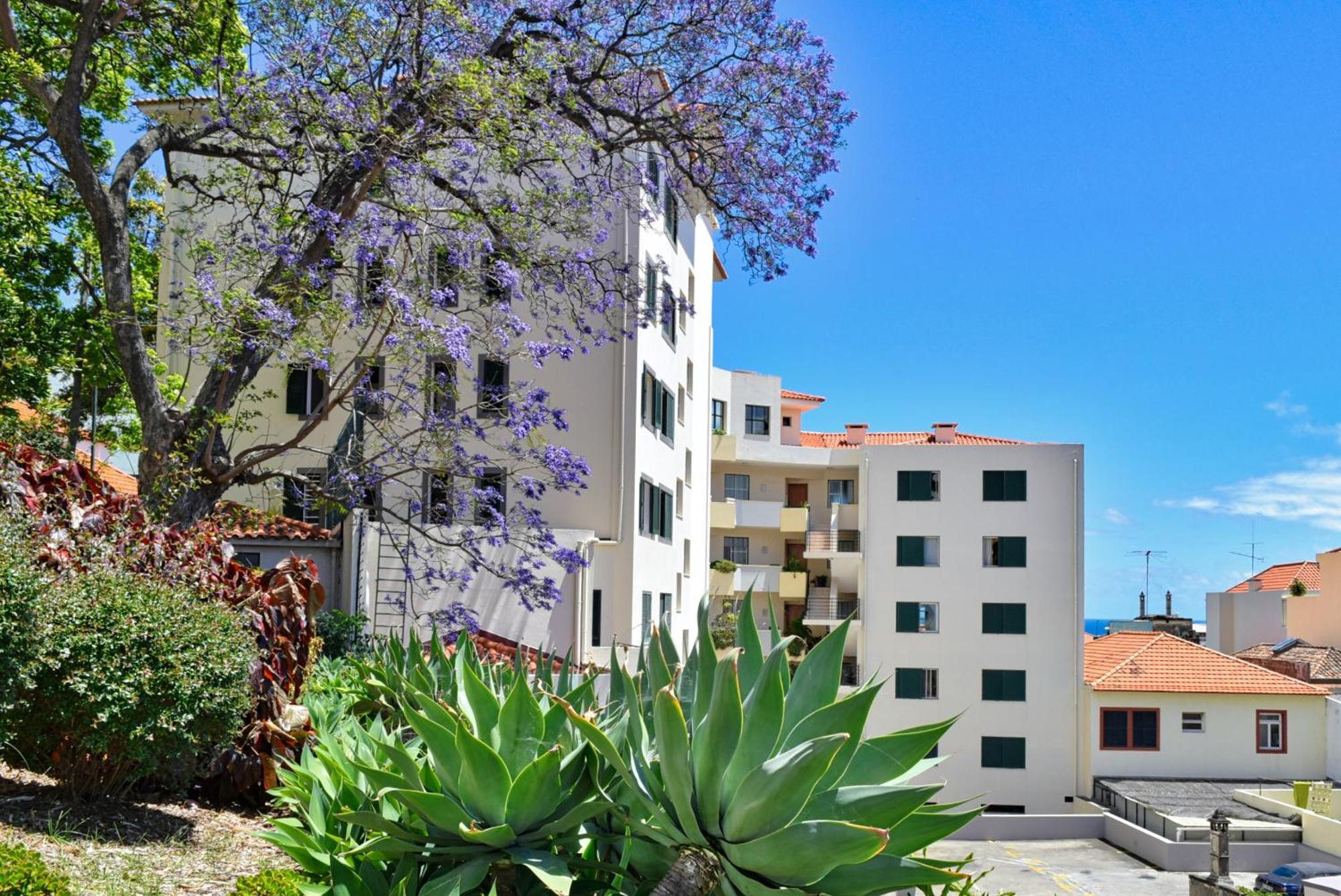 Encarnacao Apartment, A Home In Madeira Funchal  Buitenkant foto