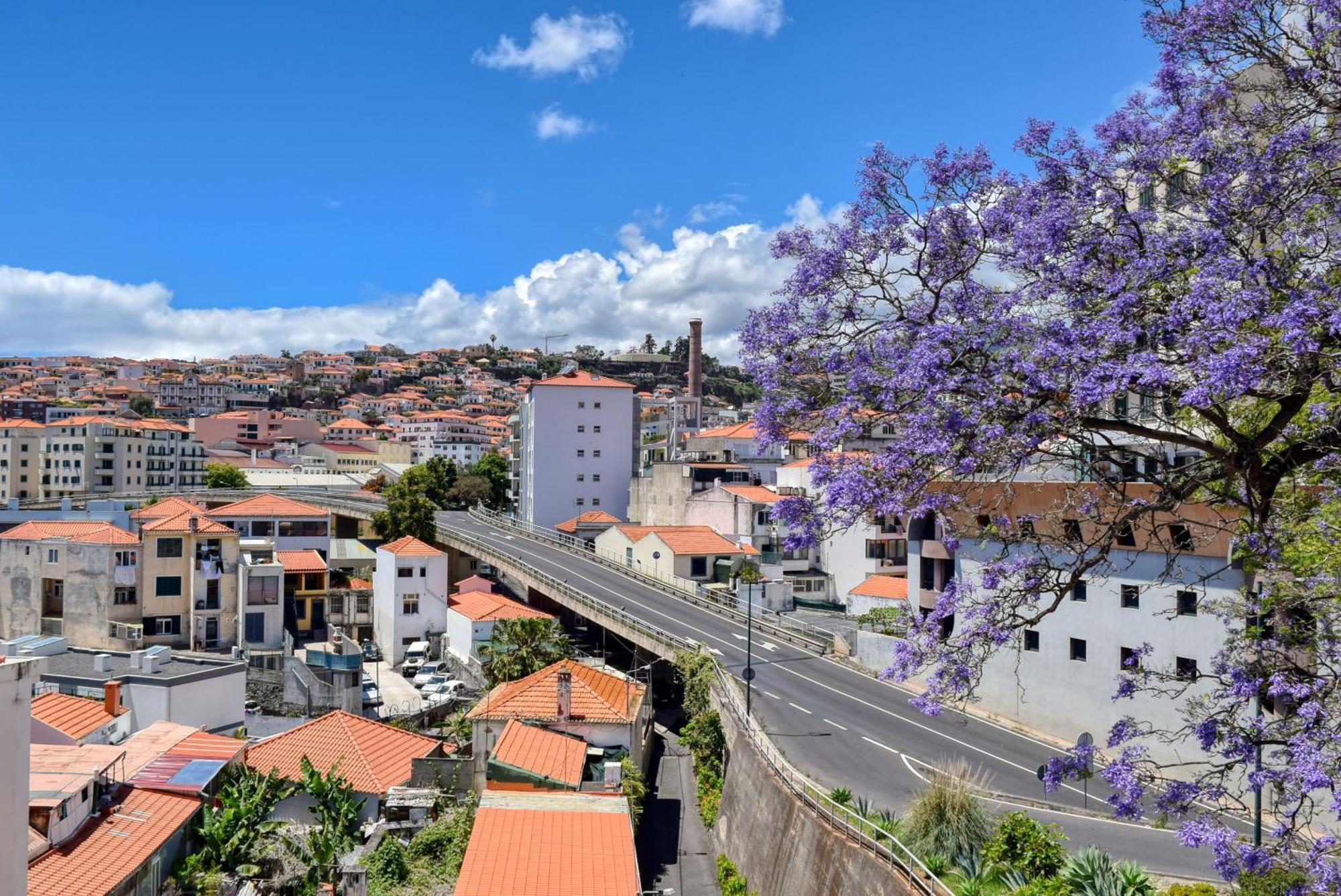 Encarnacao Apartment, A Home In Madeira Funchal  Buitenkant foto